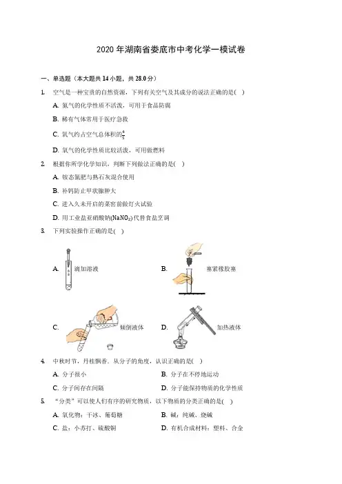 2020年湖南省娄底市中考化学一模试卷(含答案解析)