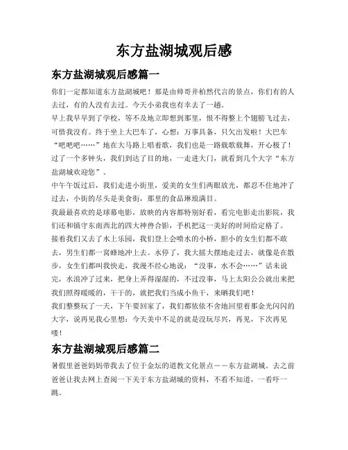 东方盐湖城观后感