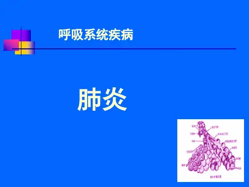 老年肺炎