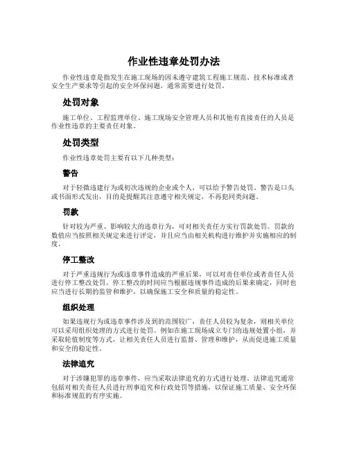作业性违章处罚办法