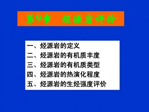 第9章 烃源岩评价(2010年改)