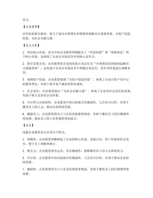 企业愿景范文分析总结