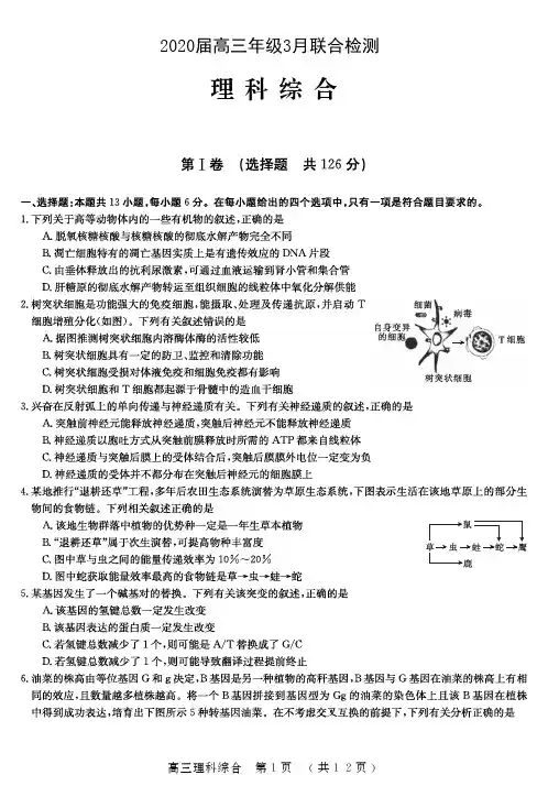 【名校真题-理综】河南省六市重点高中2020届高三年级3月联合检测理科综合试题及答案(3月)