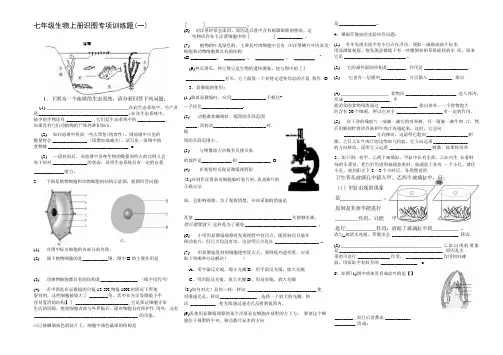 七年级生物上册识图专项训练题.docx