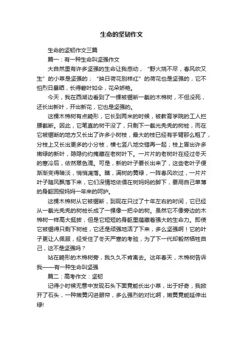 生命的坚韧作文三篇