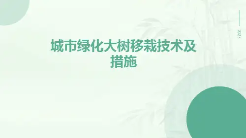 城市绿化大树移栽技术及措施