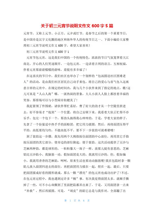 关于初三元宵节说明文作文600字5篇