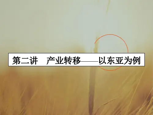 2020年高考地理一轮复习课件-第十六章 区际联系与区域