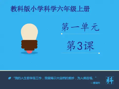 六年级上杠杆类工具的研究∣教科版ppt