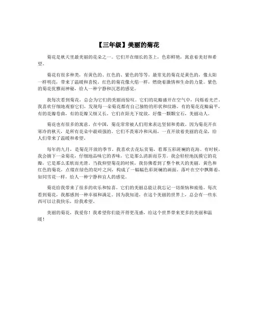 【三年级】美丽的菊花 2