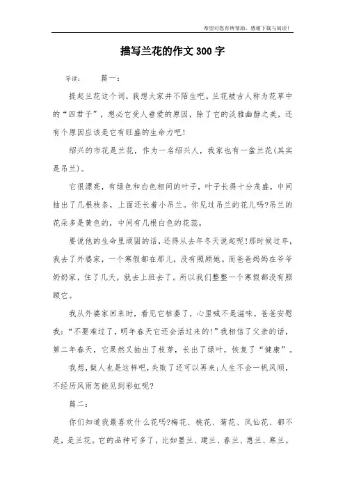 描写兰花的作文300字