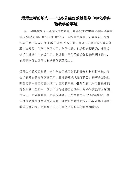 熠熠生辉的烛光——记孙公望副教授指导中学化学实验教学的事迹