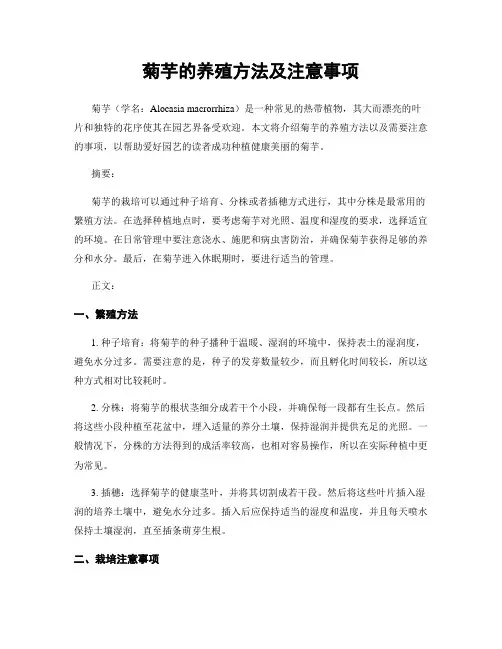 菊芋的养殖方法及注意事项