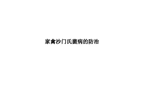 家禽沙门氏菌病的防治PPT课件