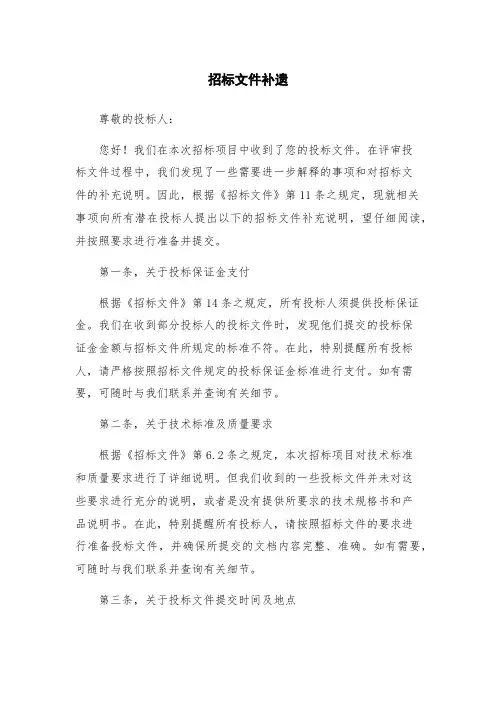 招标文件补遗