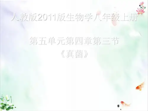 人教版新课程标准ppt真菌课件