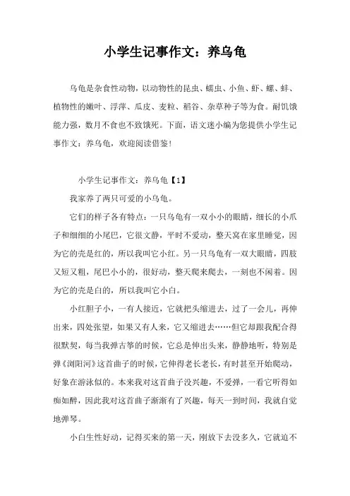 小学生记事作文：养乌龟