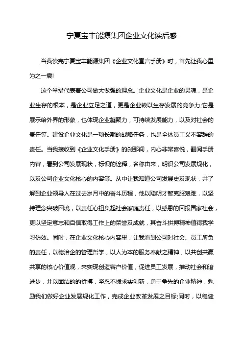 宁夏宝丰能源集团企业文化读后感