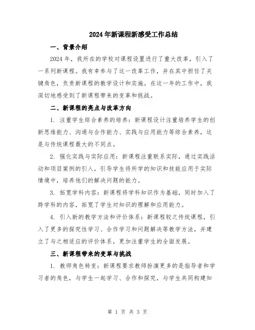 2024年新课程新感受工作总结