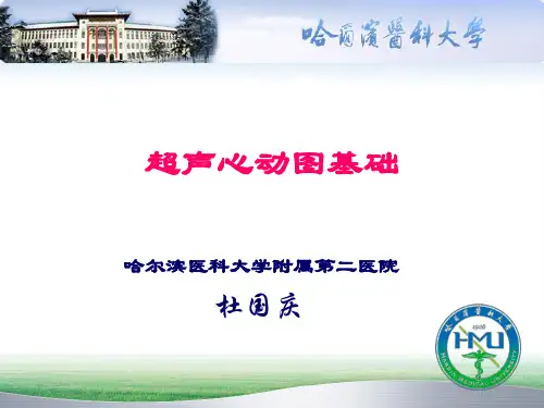 心脏超声