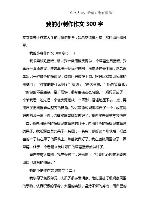 我的小制作作文300字