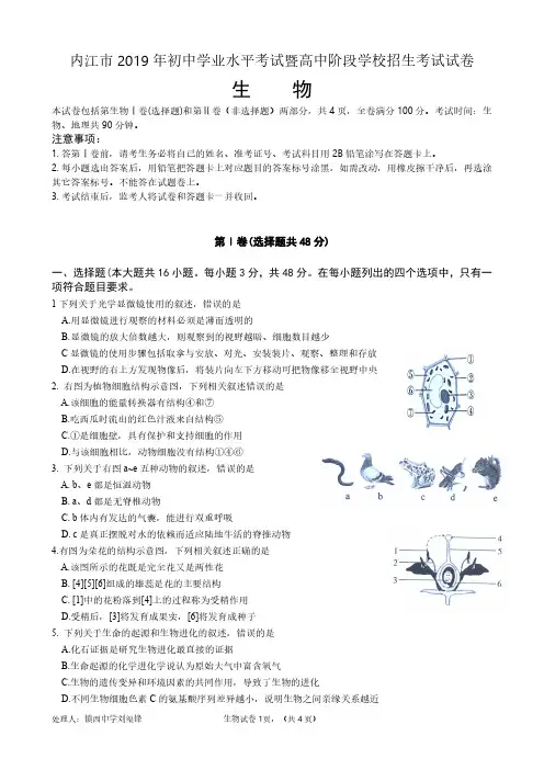 内江市2019年初中学业水平考试暨高中阶段学校招生考试试卷