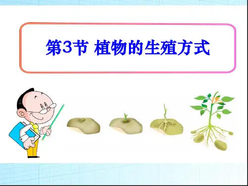 《植物的生殖方式》优秀PPT