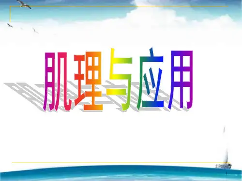 肌理与应用  ppt课件