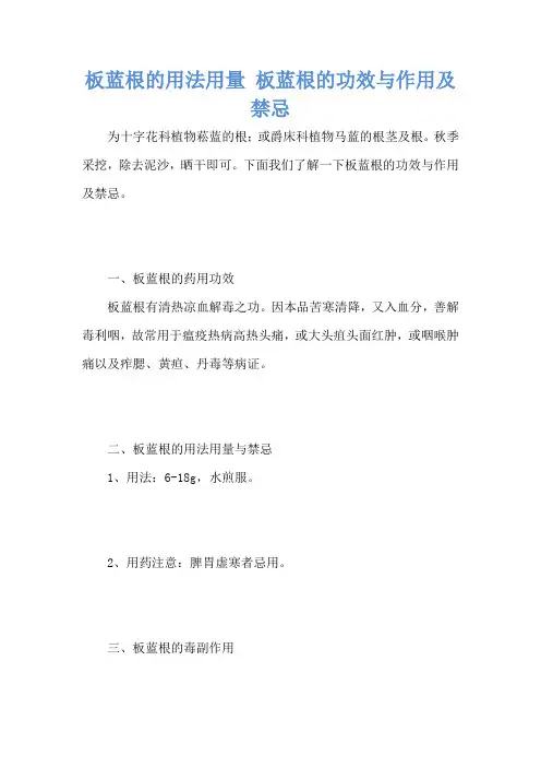 板蓝根的用法用量 板蓝根的功效与作用及禁忌