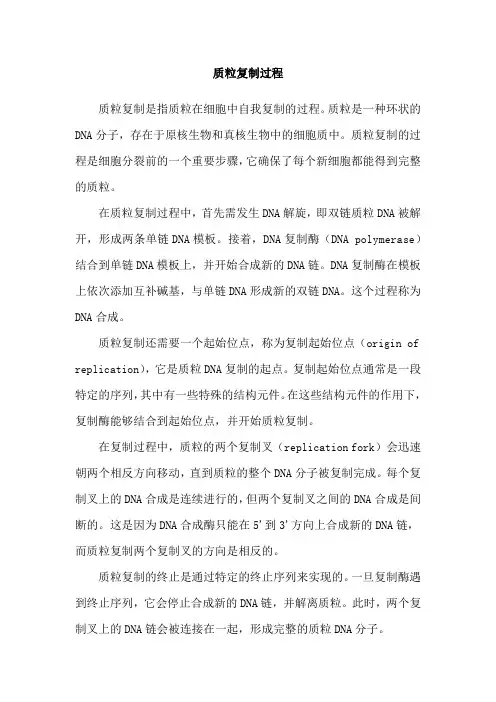 质粒复制过程