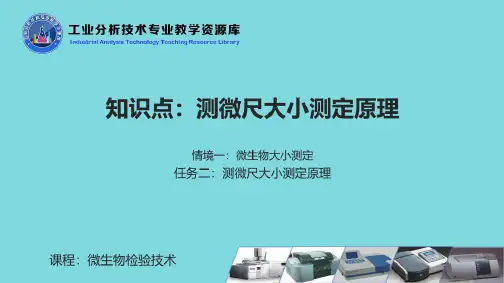 测微尺大小测定原理(共5张PPT)