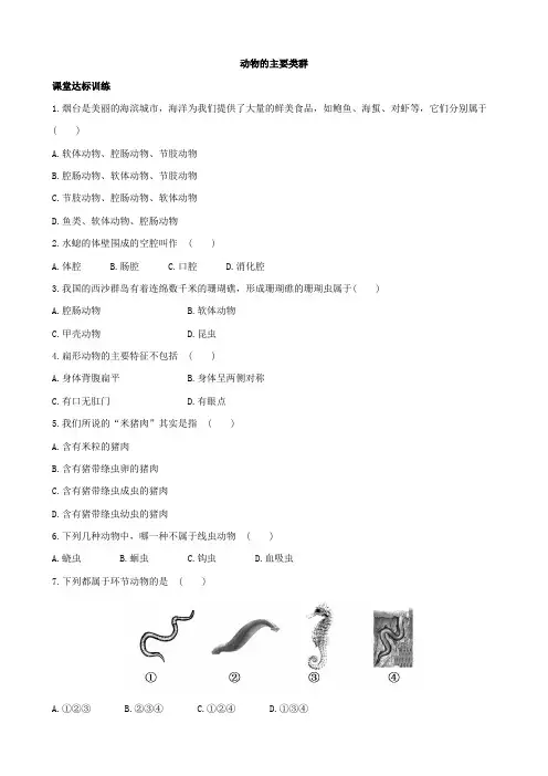 最新八年级生物下册 第22章 第4节 动物的主要类群同步训练(一)(含解析)(新版)北师大版