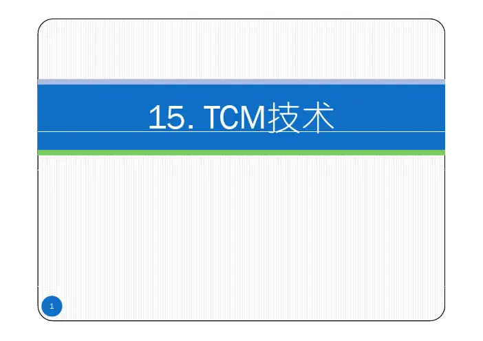 TCM编码
