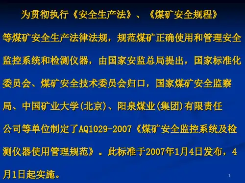 解读AQ1029标准专题培训课件