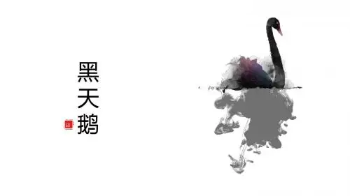 中国风-黑天鹅主题PPT模板