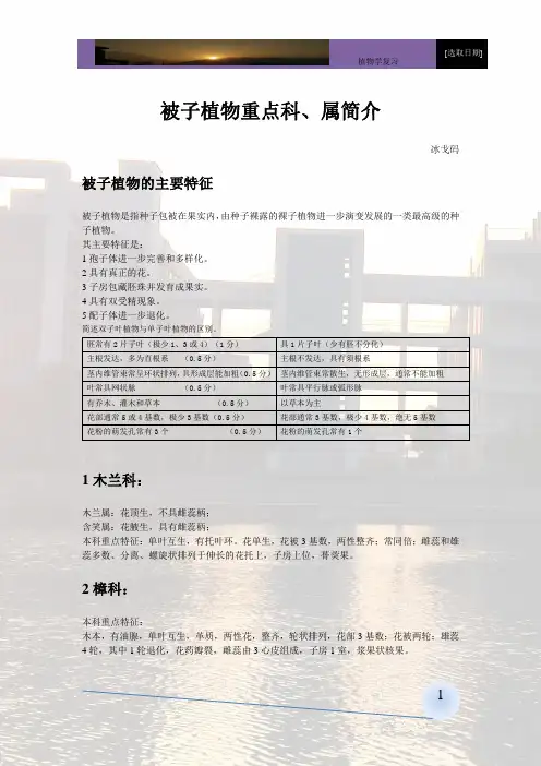 被子植物重点科简介(植物学复习材料)