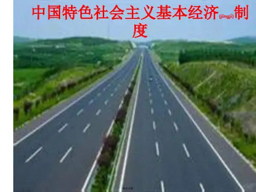 中国特色社会主义基本经济制度
