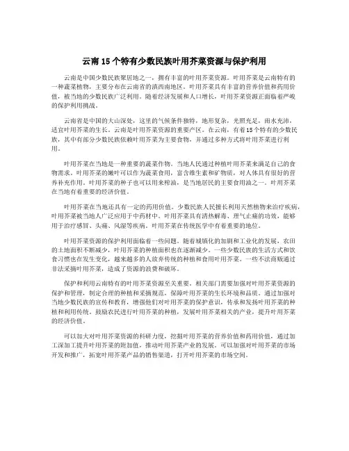 云南15个特有少数民族叶用芥菜资源与保护利用