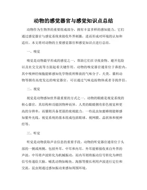 动物的感觉器官与感觉知识点总结