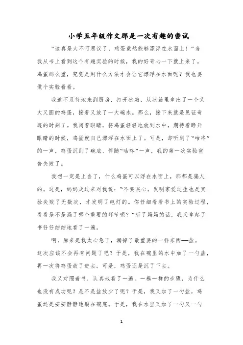 小学五年级作文那是一次有趣的尝试