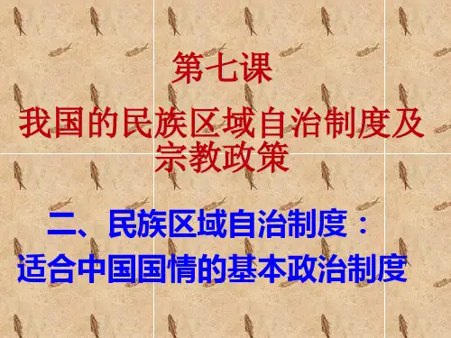 适合中国国情的基本政治制度分析