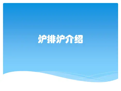 炉排炉介绍