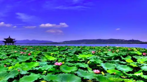 公开课《晓出净慈寺送林子方》课件