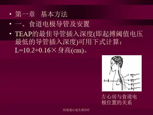 经食道心电生理诊疗课件
