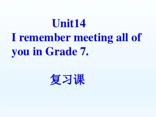 人教版九年级英语 Unit14 复习课精讲课件