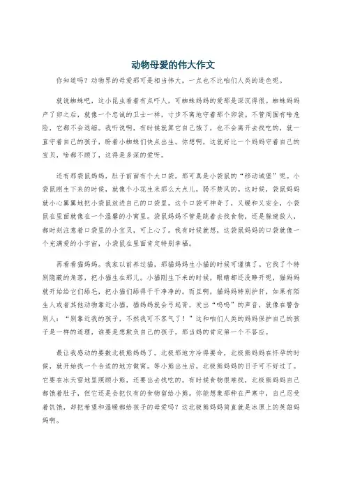 动物母爱的伟大作文