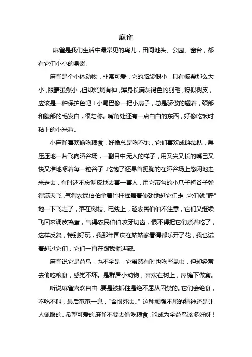 四年级作文：麻雀作文500字