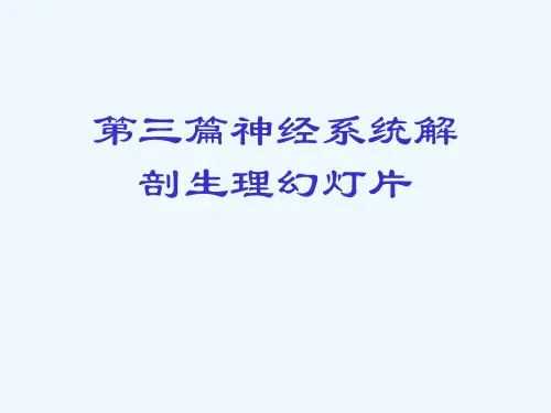 第三篇神经系统解剖生理幻灯片
