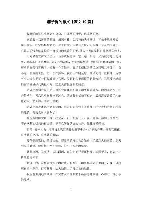 精选湘子桥的作文【范文10篇】