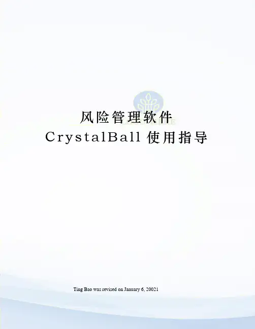 风险管理软件CrystalBall使用指导